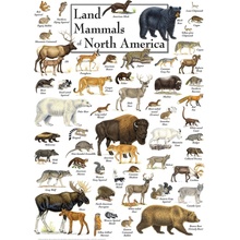 Masterpieces Land Mammals of North America 1000 dielov