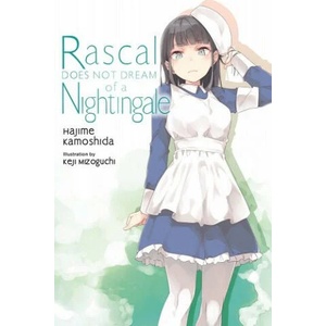 Rascal Does Not Dream, Vol. 11 (ISBN: 9781975343507)