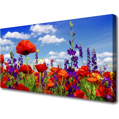 Obraz na plátne Tulipány rastlina 100x50 cm