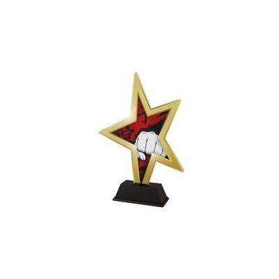 Poháry Bauer Akrylátová trofej STAR002M15 Bojová umění