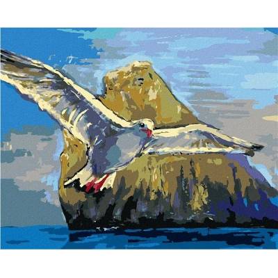 zuty Malování Podle Čísel Racek Letící Kolem Kamene 40 x 50 Cm Plátno Rám