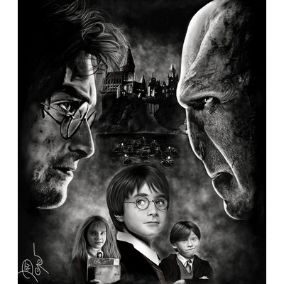 Obraz - Harry Potter - PepéArt 60x50cm