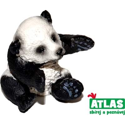 Atlas A Pandí mládě 4,5 cm