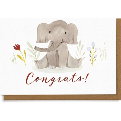 Chaukiss Congrats