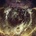 Pestilence: Exitivm LP