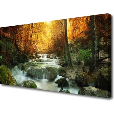 Obraz Canvas Vodopád príroda les jeseň 100x50 cm