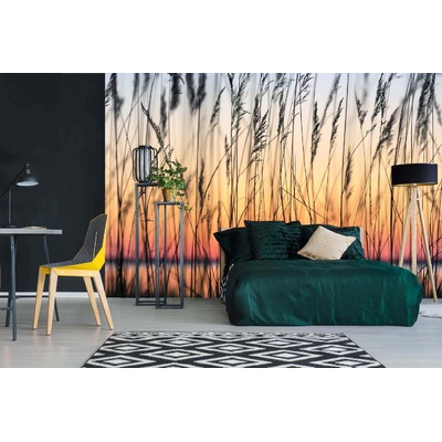 DIMEX ART Самозалепваща се флизелинова фототапета тръстика 375 x 250 см