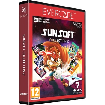 Evercade Sunsoft Collection 2