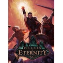 Hry na PC Pillars of Eternity (Hero Edition)