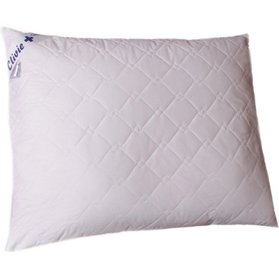 2G polštář Clivie 430g 50x40
