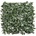 Bizzotto ДЕКОР ЗЕЛЕНА СТЕНА green bayberry 50x50 (0790470)