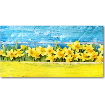 Moderný foto obraz na stenu narcisy 100x50 cm