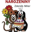 Narozeniny