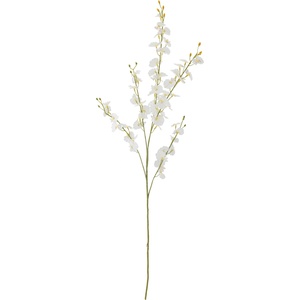 Bloomingville Изкуствено цвете Bloomingville Тайландска орхидея бяло (82061521)
