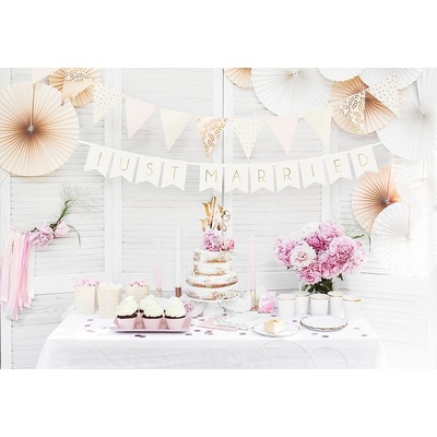 PartyDeco Girlanda Just married bíla