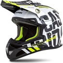 Cassida Cross Cup Sonic