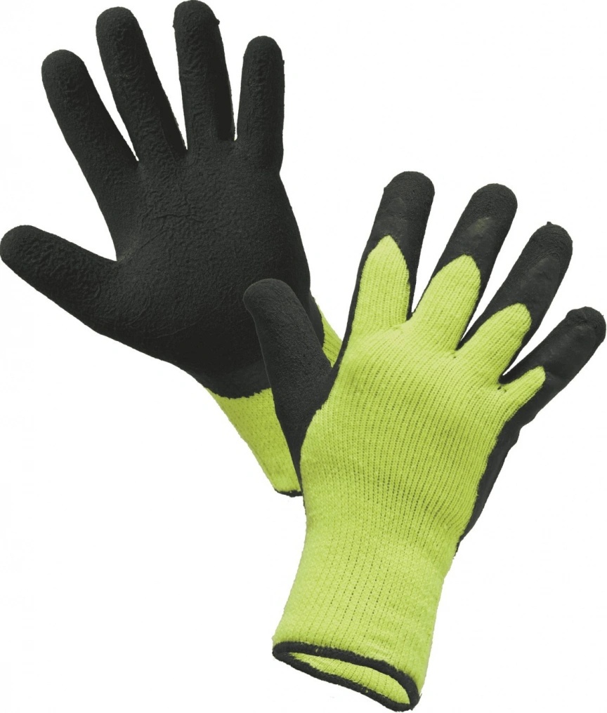 CXS ROXY WINTER