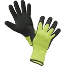 CXS ROXY WINTER