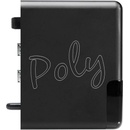 Chord POLY