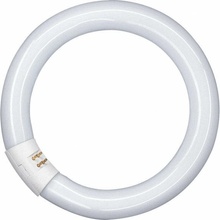 Osram žiarivka kruhová 22W, G10q, 4000K, 1250lm, Ra 80, LUMILUX T9 C