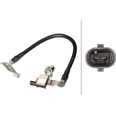 Senzor, management batérie HELLA 6PK 013 288-911 (6PK013288911)