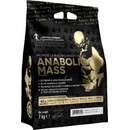 Kevin Levrone Levro Legendary Mass 3000 g