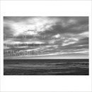 Tomahawk - Tonic Immobility LP