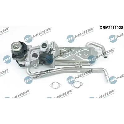 Dr.Motor Automotive AGR ventil DMA DRM211102S