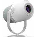 Zenwire H6