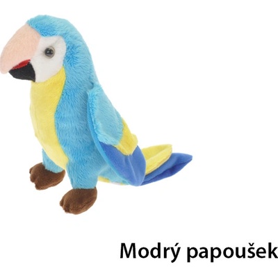 Papoušek Modrý papoušek