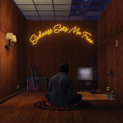 Gruff Rhys - Sadness Sets Me Free (Super Furry Animals) (LP) (0191402042016)