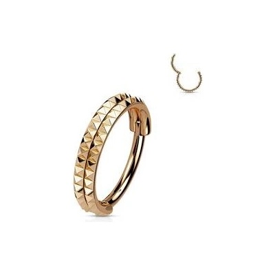 Šperky4U segment kruh s hroty helix cartilage tragus piercing NS0053RD-1210