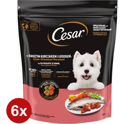 Cesar suché krmivo mix príchutí 4,8 kg