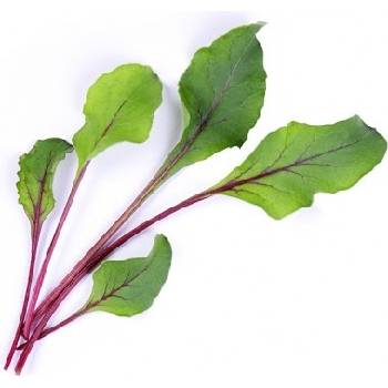 Veritable Вложка за семена Lingot листни зеленчуци цвекло (lingot-burak-cwiklowy)