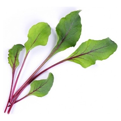 Veritable Вложка за семена Lingot листни зеленчуци цвекло (lingot-burak-cwiklowy)