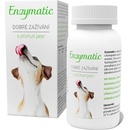 Vitamíny a doplňky stravy pro psy Vetrisol LLC Enzymatic 90 tbl