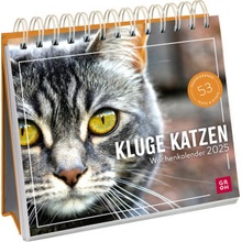 Kluge Katzen 2025