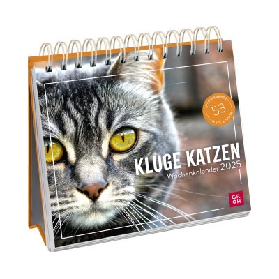 Kluge Katzen 2025