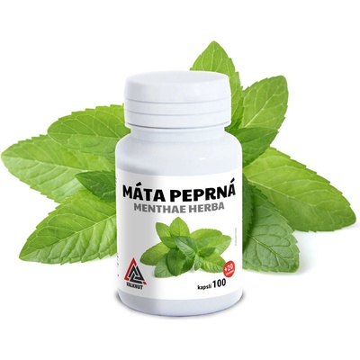 Máta Peprná Menthae Herba Valknut 100+20 kapslí