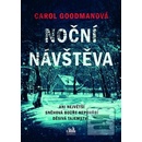 Noční návštěva