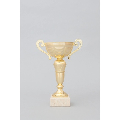 Zlatý sportovní pohár 20 29 cm 23 cm