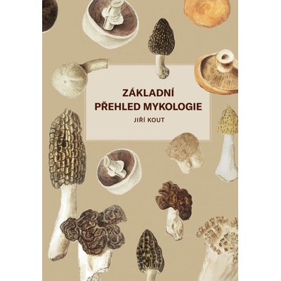 Základní přehled mykologie