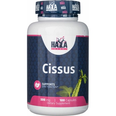 Haya Labs Cissus 500 mg 100 kapsúl