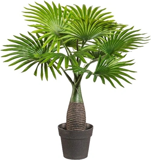 Mini Fan palma, 45cm