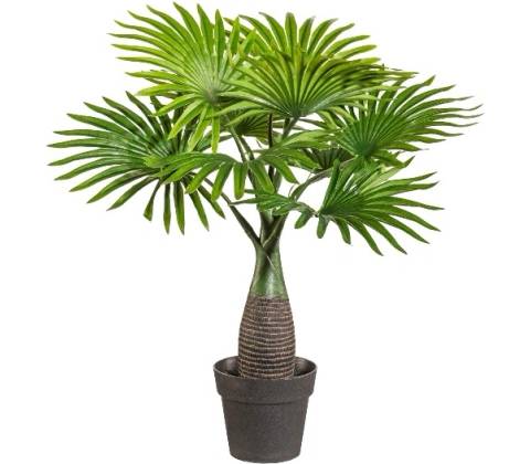 Mini Fan palma, 45cm