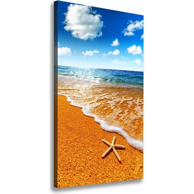 Vertikálny foto obraz na plátne Hviezdice na pláži 50x100 cm