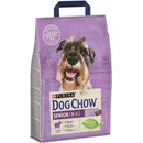 Dog Chow Senior Lamb 2,5 kg