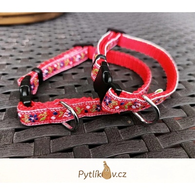 Smarti fashion Obojek pro psy Morava nylon