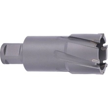 ABSE N-CA-W19-0310050