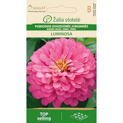 Seklos Циния Розова Luminosa Zinnia elegans dahlienflora
